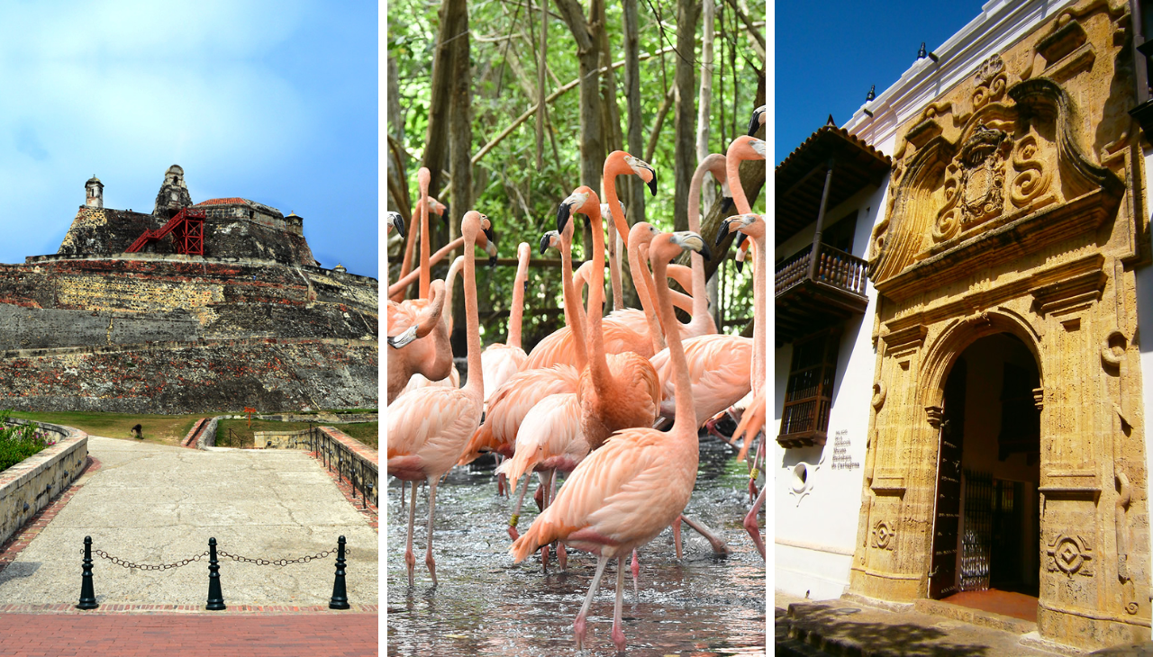 The San Felipe Castle, the National Aviary and the Historical Museum are must-see places to enjoy more of the city. 