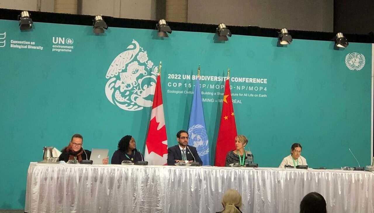 Panel at 2022 COP15 in Montreal, Canada. 
