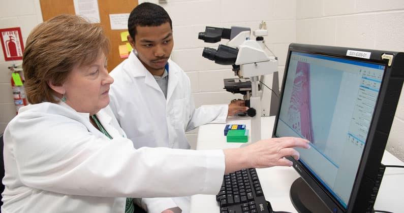 Cabrini University gives students the opportunity to work side-by-side PCOM scientists this past summer. 