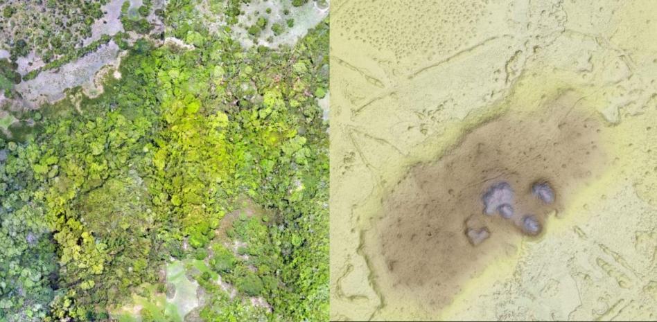 On the left, a view of Llanos de Mojos forest. On the right, images captured with Lidar. Photo: Heiko Prümers / Instituto Arqueológico Alemán