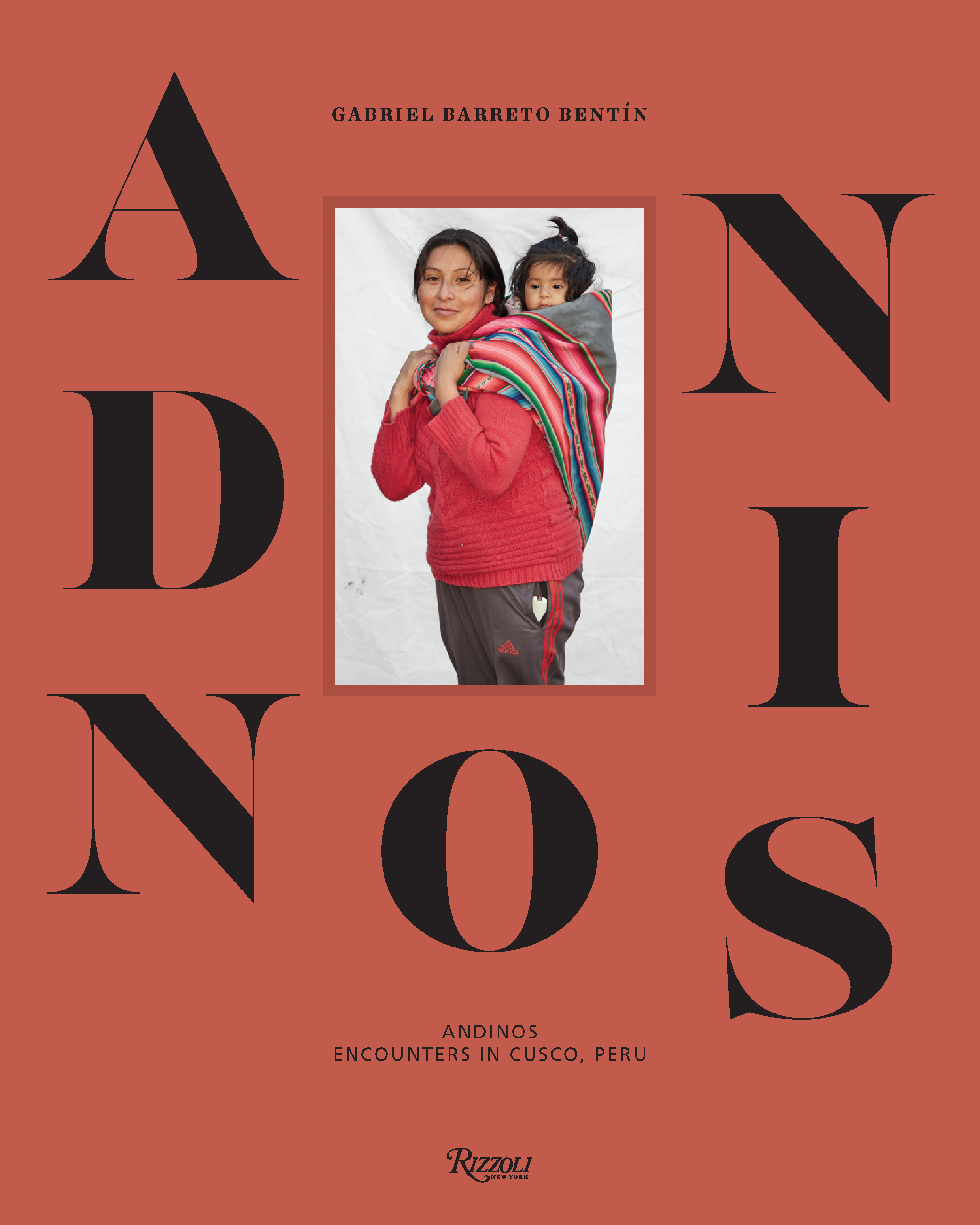 andinos book cover